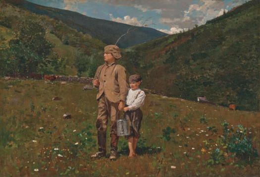 Homer pasture1.jpg
